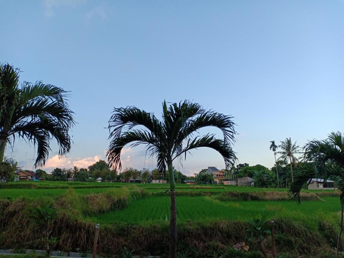 Bata Merah Homestay Banyuwangi  Eksteriør bilde