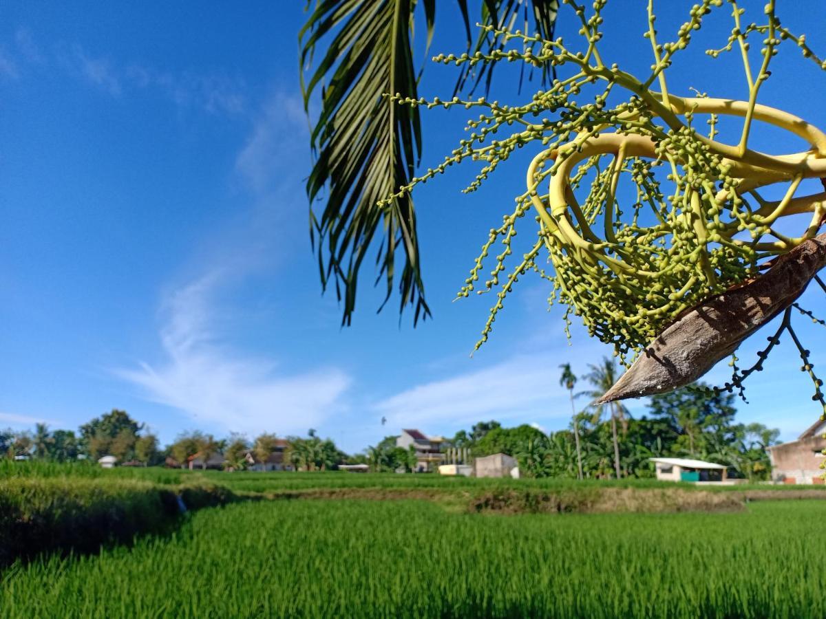Bata Merah Homestay Banyuwangi  Eksteriør bilde