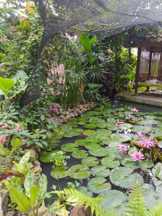 Bata Merah Homestay Banyuwangi  Eksteriør bilde