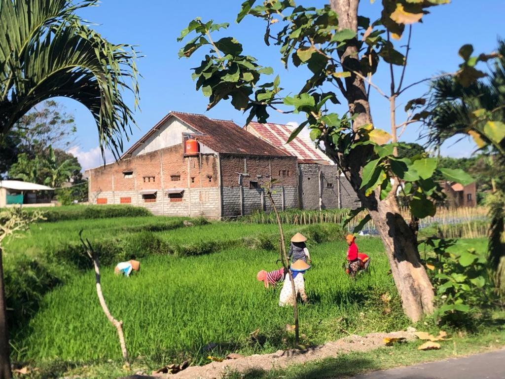 Bata Merah Homestay Banyuwangi  Eksteriør bilde